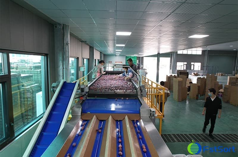 images/1669883687736plum grading machine.jpg